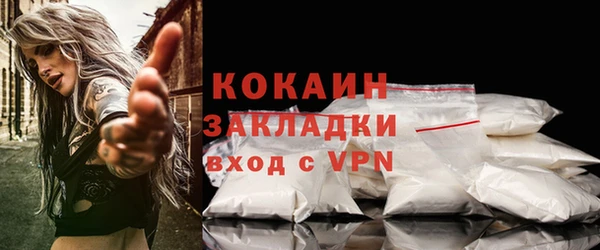mdpv Богородск