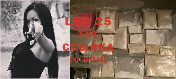 спиды Богданович