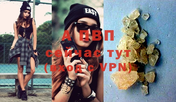 спиды Богданович