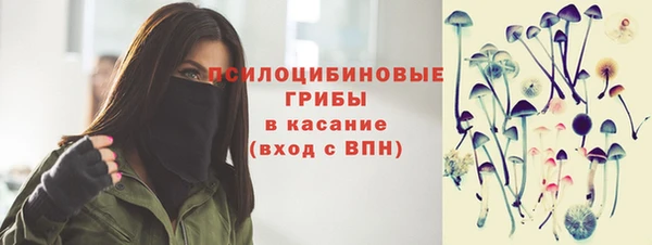 mdpv Богородск