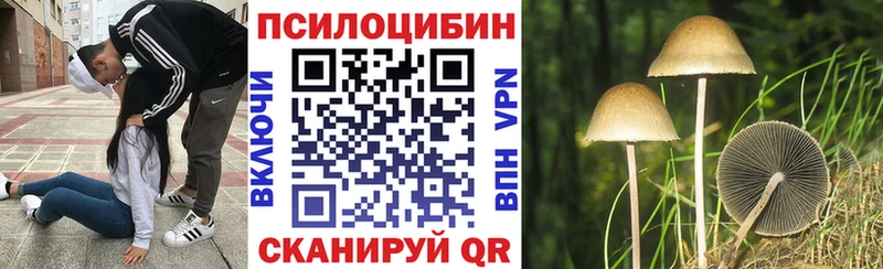 МЕГА сайт  Нариманов  Псилоцибиновые грибы GOLDEN TEACHER  закладки 